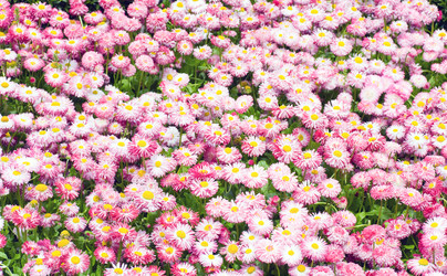 Similar image 453072