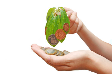 Similar image 453077