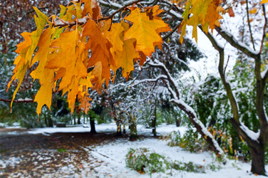 Similar image 453087