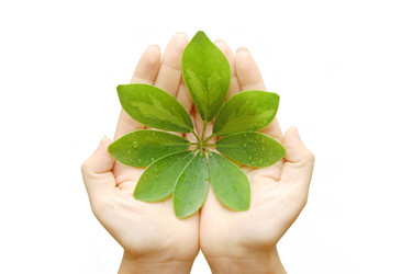 Similar image 453110