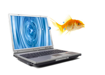 Similar image 453113