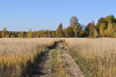 Similar image 453206