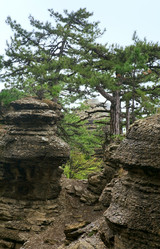 Similar image 453243