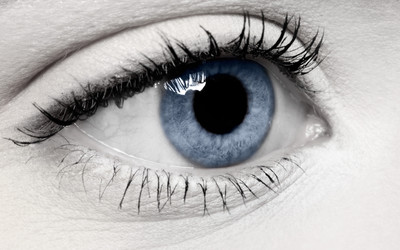 Similar image 453252