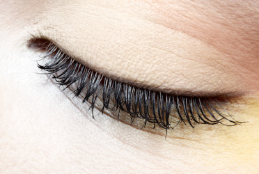 Similar image 453254