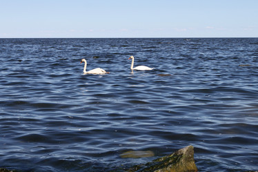 Similar image 453269