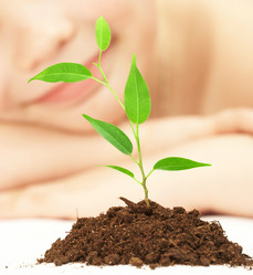 Similar image 453360