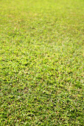 Similar image 453386