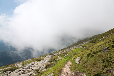 Similar image 453405