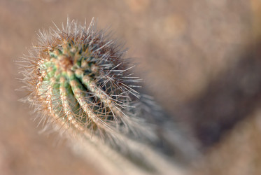 Similar image 453409