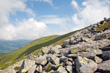 Similar image 453416