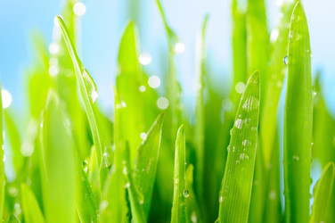 Similar image 453449