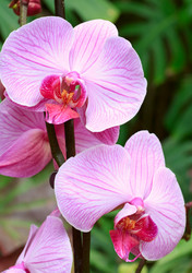 Similar image 453473