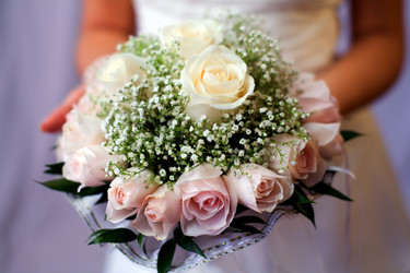 Similar image 453535