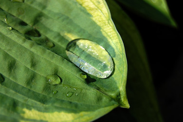 Similar image 453575