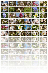 Similar image 453595