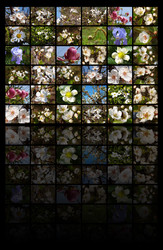 Similar image 453597