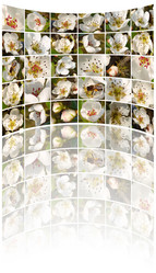 Similar image 453599