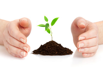 Similar image 453653