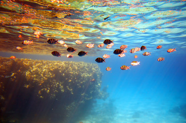 Similar image 453674