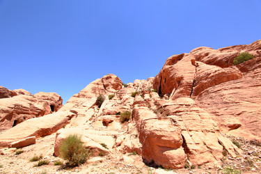 Similar image 453691