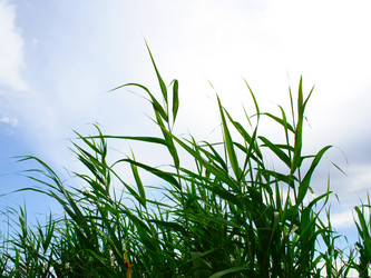 Similar image 453701