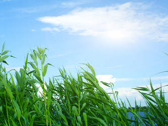 Similar image 453703