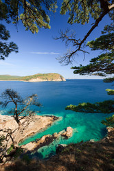 Similar image 453740