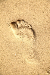 Similar image 453743