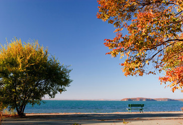 Similar image 453766