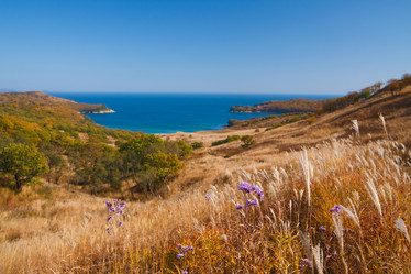 Similar image 453771