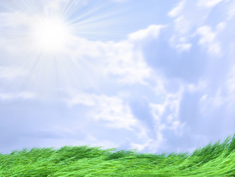 Similar image 453773