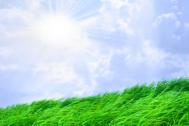 Similar image 453774