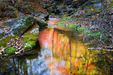 Similar image 453782