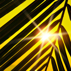 Similar image 453855