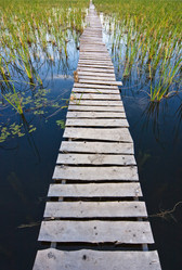 Similar image 453863