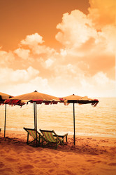 Similar image 453865