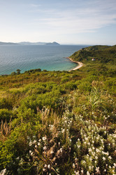 Similar image 453878