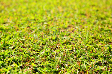 Similar image 453894