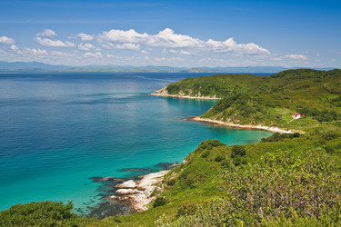 Similar image 453896