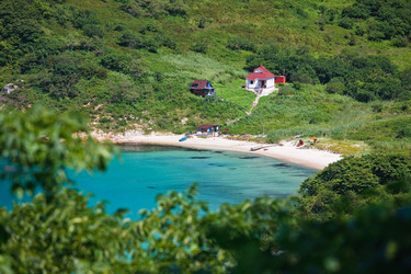 Similar image 453914