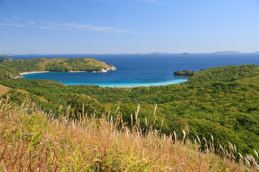 Similar image 453929