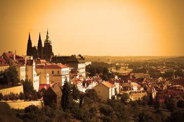 Similar image 453937