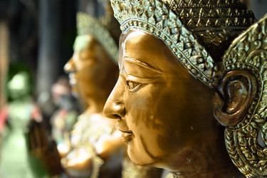 Similar image 453946