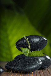 Similar image 453984