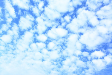 Similar image 453998