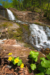 Similar image 454022