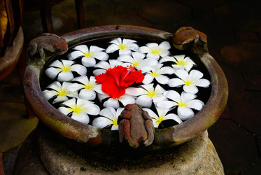 Similar image 454038