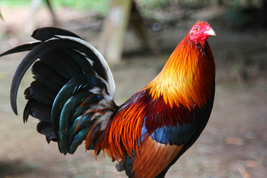 Similar image 454043