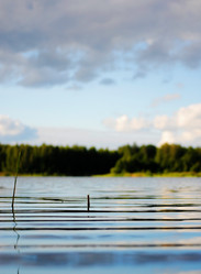 Similar image 454045